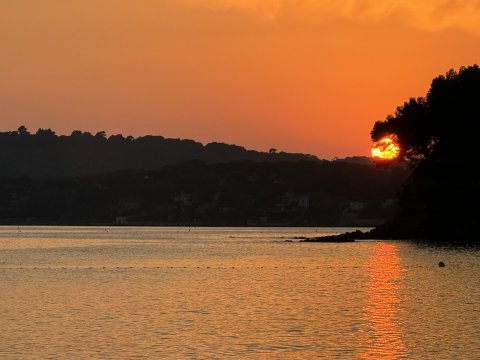 All you need is love...and for France to not be on vacation all of August